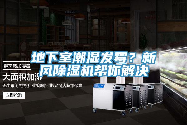 地下室潮濕發(fā)霉？新風(fēng)除濕機幫你解決