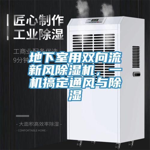 地下室用雙向流新風除濕機，一機搞定通風與除濕