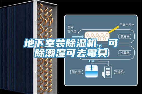 地下室裝除濕機，可除潮濕可去霉臭