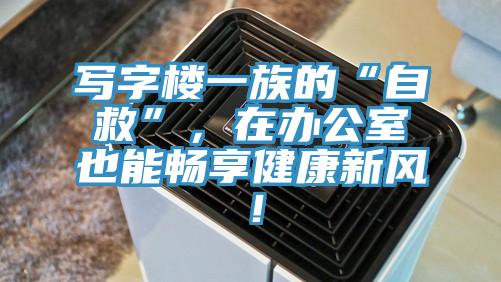寫字樓一族的“自救”，在辦公室也能暢享健康新風！