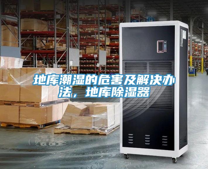 地庫潮濕的危害及解決辦法，地庫除濕器