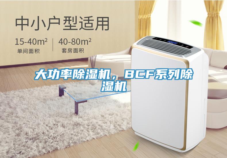 大功率除濕機，BCF系列除濕機